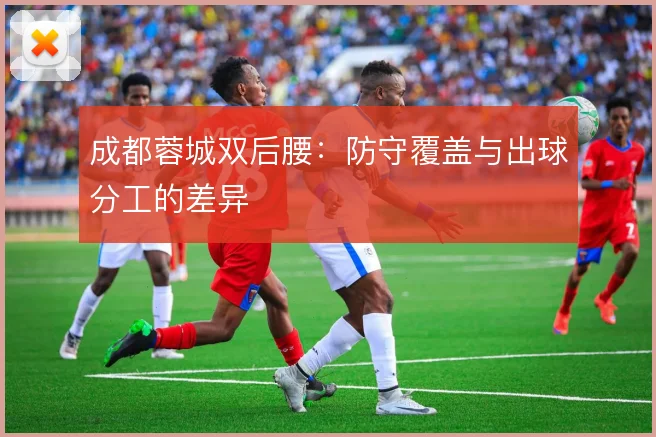 成都蓉城双后腰：防守覆盖与出球分工的差异
